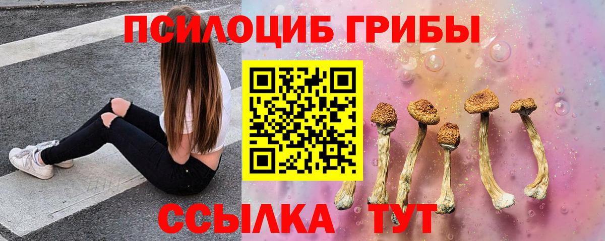 Всеволожск  Галлюциногенные грибы GOLDEN TEACHER  Вход с VPN 