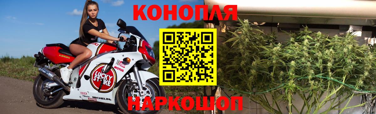 Каннабис конопля Всеволожск